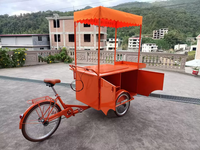 Les fabricants proposent un tricycle mobile multifonctionnel à 3 roues pour la vente de nourriture rapide avec fonction de cyclage inversé