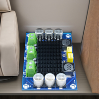 XH-M542 monocanal bricolage haute puissance Mini amplificateur Module TPA3116D2 carte Audio numérique pour un usage domestique