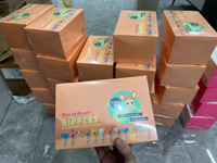 Figuras de Acción Miniatura de Personajes de Dibujos Animados para Sonnys Angels, Caja Sorpresa de PVC, Personajes de Películas y TV de Origen Japonés, Venta al por Mayor