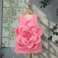 Robe de Fête d'Anniversaire pour Enfants, Boutique, avec Fleurs 3D Appliquées, Ligne A, Qualité Spectacle, Modèle Fillette