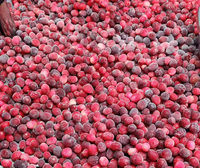 IQF Diepvries Cranberry Gezonde Rode Vruchten Ingrediënten Bulk voor Professionele Bakkerijen en Banketbakkerij