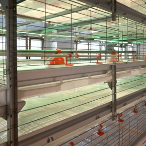 Sistema Moderno Automatico a Gabbie Tipo H per Polli da Carne con Raccolta Automatica - Attrezzatura per Allevamento Avicolo per Polli da Carne - Product Image 3