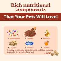 Complément alimentaire pour animaux de compagnie, poudre de champignons pour chiens et chats, OEM/ODM, santé immunitaire, fonction cardiaque et cérébrale, santé intestinale et hépatique, soutien des hanches et des articulations