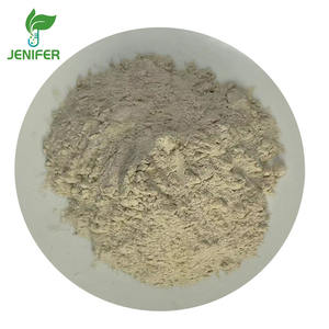 Poudre de <span class=keywords><strong>Saccharomyces</strong></span> <span class=keywords><strong>Boulardii</strong></span> de qualité alimentaire pure, 20 milliards d'UFC - Product Image 3