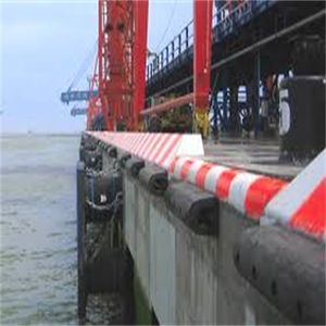 Parafanghi personalizzati tipo D - Product Image 5