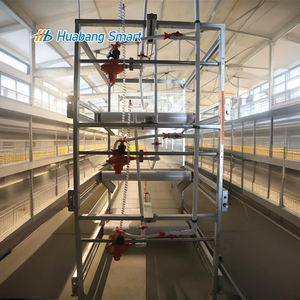 Attrezzatura per l'allevamento di pollame, - Product Image 5