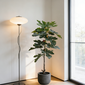 Ficus Artificiale in Plastica per Interni, Pianta di Ficus Banyan di Alta Qualità per Matrimoni e Cerimonie di Laurea - Product Image 2