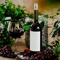 Disque verseur de vin rouge réutilisable le plus vendu, souple, anti-goutte, en feuille d'aluminium