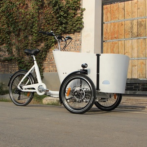 Nuevo Diseño de Triciclo Velomóvil, Bicicleta Eléctrica de Carga, Tipo de Conducción Eléctrica - Product Image 4