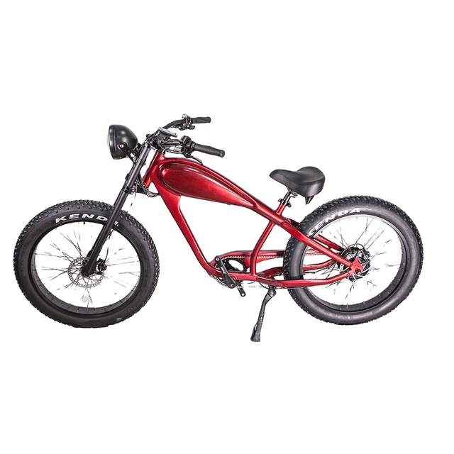 BISEK OEM Colors Hydraulic 48v 500-750w Motor 7 Speed Derailleur 150KG Max Loading Electronic Ebike With CE / US Standard