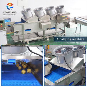 Machine de lavage et de séchage d'ananas 1000-2000 kg/h, ligne de traitement d'ananas - Product Image 3