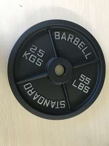 Disco <span class=keywords><strong>Peso</strong></span> in Ghisa Classico e Resistente RUIBO da 20kg per Uso in Palestra, Tutte le Specifiche Disponibili - Product Image 5