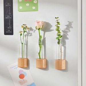 Vente en gros de petits pots de fleurs hydroponiques muraux en PP injecté, écologiques, avec tube à aspiration magnétique pour réfrigérateur, pour décoration - Product Image 1