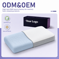 Oreiller en mousse à mémoire de forme de gros avec housse douce pour marque privée, hôtels, literie domestique, fourniture d'usine OEM ODM