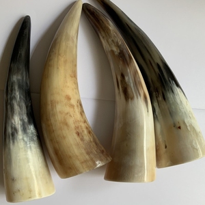 Kuning tanduk sapi putih tanduk yak stasiun silinder scraping silinder tanduk sapi bekam - Product Image 4