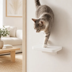 White Shelf <b>Floating</b> Perch <b>Wall</b> Furniture Mounted Step - Product Image 4