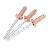 Bouchon en cuivre, fer, métal, acier, noyau en aluminium, mandrin de traction, tête ronde, extrémité ouverte, Rivets Pop store DIN7337