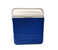 Ensemble de glacières isothermes étanches 16L et 36L avec poignée, rigides et portables, idéales pour la pêche, le camping, la randonnée et les aventures en plein air