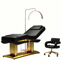 Lit de massage professionnel électrique à commande intégrale par bouton unique, réglable, chauffant, pour salon de beauté et spa, mobilier de soin du visage