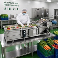 RVS 304 voedselveilige wasmachine voor het verwijderen van slijm, bloed en ingewandenresten van vis, garnalen, groenten en fruit.
