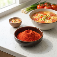 Poudre de tomate naturelle séchée de haute qualité en gros d'usine, mélangée aux cinq épices chinoises, pour restaurants haut de gamme et moyens hauts