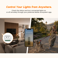 Module d'interrupteur intelligent GIRIER DIY à éclairage caché, compatible HomeKit Tuya Matter via Wi-Fi, 1, 2, 3 ou 4 gangs