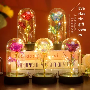 Xuyên biên giới PE vàng lá tăng dẫn phát sáng vĩnh cửu Hoa quà tặng sáng tạo trang trí changli giáng sinh 2024.4.29 - Product Image 2