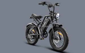 Bicicleta Eléctrica Todoterreno de Alta Resistencia con Llantas Anchas para Adultos, Ideal para Desplazamientos Urbanos, Venta Directa de Fábrica - Product Image 2