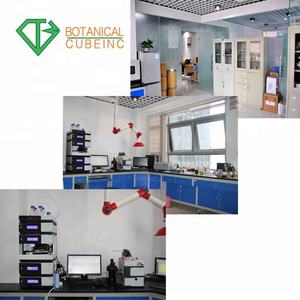 Voor vrouwelijke gezondheid gebruik schoonheid <span class=keywords><strong>kacip</strong></span> <span class=keywords><strong>fatimah</strong></span> labisia pumila <span class=keywords><strong>kacip</strong></span> <span class=keywords><strong>fatimah</strong></span> <span class=keywords><strong>extract</strong></span> 10:1 <span class=keywords><strong>kacip</strong></span> <span class=keywords><strong>fatimah</strong></span> poeder - Product Image 5