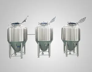 Small Model 150L 200L Brew System Brewery Equipment Beer Fermenting Turnkey Plant