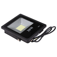 8 años de Alibaba Gold Supplier 30W IP65 Clasificado 120 ° Ángulo de haz 3 años de garantía Rojo Azul Verde Blanco LED Luz de inundación al aire libre
