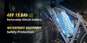 Bicicleta Eléctrica KOOLUX 48V 250W 7 Velocidades con Frenos de Disco, Motor en la Rueda Trasera, Bicicleta Urbana, Estilo Retro Vintage, Batería Integrada, 60 km de Autonomía - Product Image 6