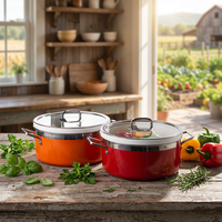Chauffe-Plat Commercial en Acier Inoxydable à Induction avec Insert en Céramique pour Buffet, Marmite à Soupe en Céramique pour Hôtel