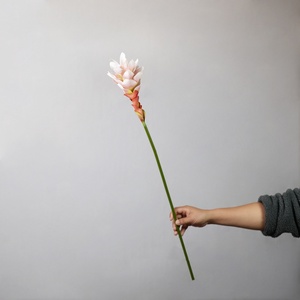H1029 Fiori Artificiali a Stelo Lungo: Giglio Zenzero, Cereus Notturno, Amaryllis - Decorazioni per Tavolo da Soggiorno e Oggetti di Scena per Studio Fotografico - Product Image 2