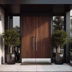 Zwarte entreedeur moderne beveiligde voordeur aluminium draaideur exterieur villa huis hoofdingang dubbele massief houten geluidsdichte deur - Product Image 3