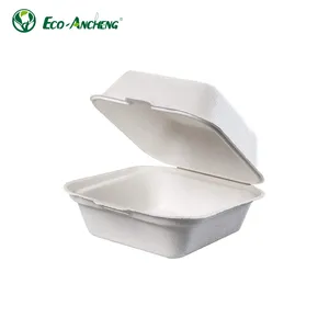 Bagassa da asporto biodegradabile a conchiglia contenitore per alimenti in canna da zucchero Lunch Box Pfas Free