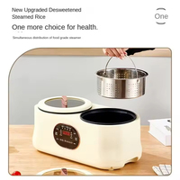 Marmite Électrique Portable 2,5 L 700W avec Contrôle de Température et Vapeur, Classe d'Efficacité Énergétique pour Usage Domestique et Extérieur