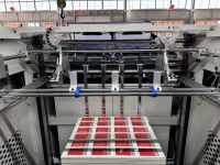 Machine de stratification thermique chaude de papier en plastique de Bopp avec le coupeur automatique