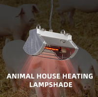 Lampe Chauffante Infrarouge pour Élevage 100W/175W/250W avec Protection – Nouveau Modèle à Prix de Gros pour Bétail