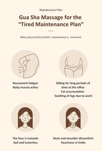얼굴 리프팅 피부 강화 얼굴 슬리밍 궁극의 근육을위한 전문 휴대용 Gua Sha 미세 전류 장치 가열 진동 - Product Image 6