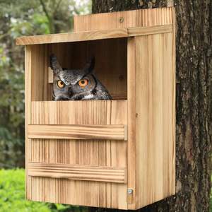 Casa para pájaros grande de madera JX, construcción de madera maciza, con diseño de apertura y cierre, impermeable, adecuada para uso en exteriores. - Product Image 1