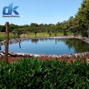 Personnalisation des revêtements d'étang en PEHD LDPE géomembrane de revêtement de barrage géomembrane d'étanchéité <span class=keywords><strong>membrane</strong></span> anti-humidité pour <span class=keywords><strong>fondation</strong></span> - Product Image 3