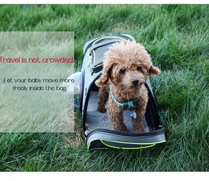 Havayolu onaylı küçük yavru evcil seyahat taşıma çantası köpekler ve kediler için evcil hayvan taşıyıcı torba taşınabilir kedi seyahat çantası - Product Image 5