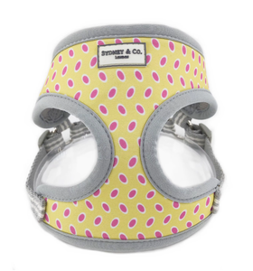 Großhandel Luxus Bestseller Hunde halsband Geschirr Leine Set Mehrfarbig bedruckte verstellbare Schutzs chnalle Hunde geschirr - Product Image 4