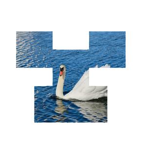 Pantalla LED P2.604 para Exteriores con Profundidad de Color de 14-16 Bits y Escala de Grises ≥16384 para Visualizaciones Vibrantes - Product Image 1