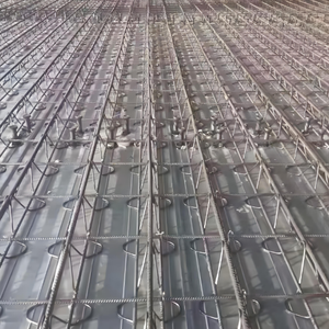 Plaque de terrasse en treillis métallique galvanisé-Dalles de structure en acier pour usage intensif - Product Image 6