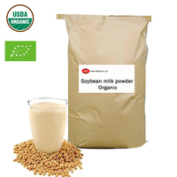 100% Natural Nutritious Breakfast Rush Leche de soja instantánea en polvo Leche de soja orgánica en un sabor salado Textura dura Empaquetado en una bolsa