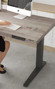 โต๊ะยืนไฟฟ้าสำหรับเล่นเกมแบบมืออาชีพโต๊ะยืนไฟฟ้าปรับความสูงได้