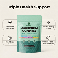 tiorawellness OEM Vegan Lion Mane Ashwagandha 10 en 1 Mélange de champignons Complexe Adaptogène Nootropique Gummies Multi-Pack Nutriments