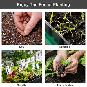 Dayanıklı 21 32 50 72 105 128 hücreleri tohum bitki çimlenme sebze çiçek büyüyen tepsi bahçe fide kreş tepsiler - Product Image 5